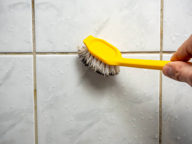  Serenada, TX Mold Removal Pros