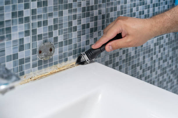 Best Kitchen Mold Remediation in Serenada, TX