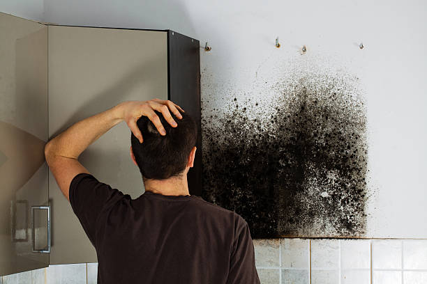 Best HVAC Mold Remediation in Serenada, TX